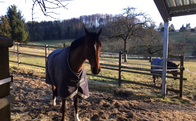 Nino profitant de son nouveau parc